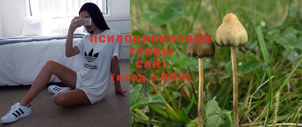 метадон Коряжма